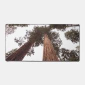 森、木 デスクマット (正面)