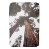 森、木 バスマット (正面縦)