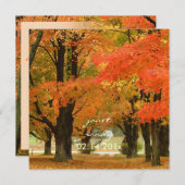 森、秋の結婚式/DIYイベント 招待状 (正面/裏面)