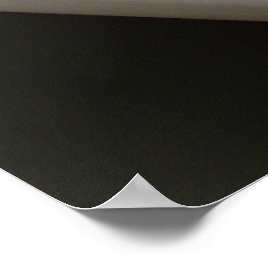 棺の天井 ポスター (角)