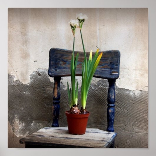 椅子と花のポスター ポスター (正面)