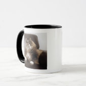 椅子に坐る猫のポートレート マグカップ (正面左)
