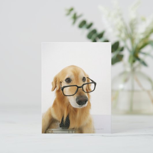 椅子に座ってネクタイとメガネを着た犬 ポストカード (スタンド正面)