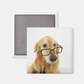 椅子に座ってネクタイとメガネを着た犬 マグネット (正面/裏面)