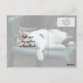 椅子の上に横たわる三毛猫 ポストカード (裏面)