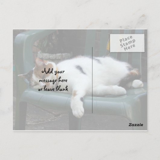 椅子の上に横たわる三毛猫 ポストカード (裏面)