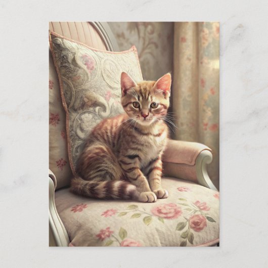 椅子の上の猫（シャビーシック） ポストカード (正面)