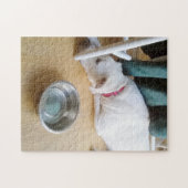 椅子の下に隠れている美しいかわいい白い子犬 ジグソーパズル (横)