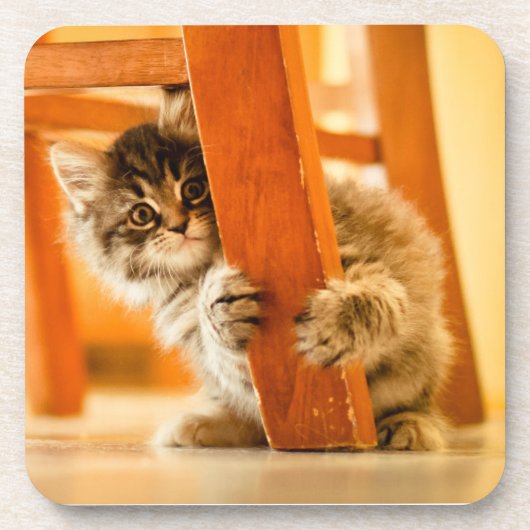 椅子の下の子猫 コースター (正面)