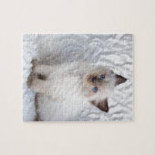 椅子の毛皮に坐っている1匹の若いragdoll猫 ジグソーパズル (横)