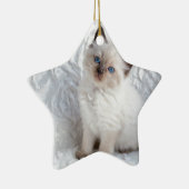 椅子の毛皮に坐っている1匹の若いragdoll猫 セラミックオーナメント (右)