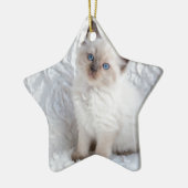 椅子の毛皮に坐っている1匹の若いragdoll猫 セラミックオーナメント (左)