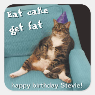 椅子の紫色の誕生日の帽子に坐っている大きい脂肪質猫 スクエアシール