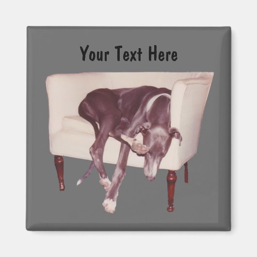 椅子磁石で眠るグレイホおもしろいンド マグネット (正面)