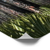 植えられた松とソーパルメットプリント ポスター (角)