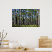 植えられた松とソーパルメットプリント ポスター (キッチン)