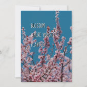 植えられた花 |クリスチャン勇気付けられる (正面)