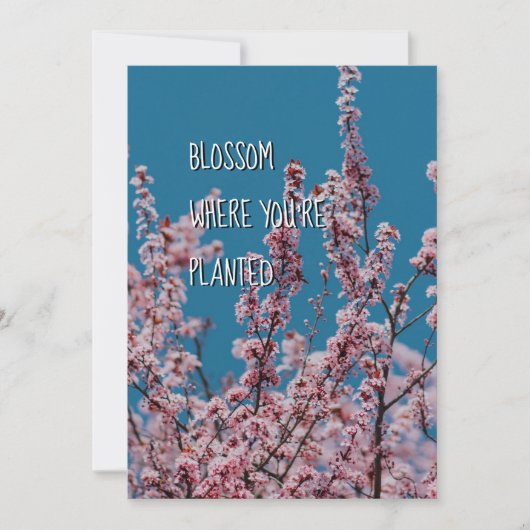 植えられた花 |クリスチャン勇気付けられる (正面)