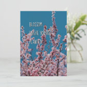 植えられた花 |クリスチャン勇気付けられる (スタンド正面)