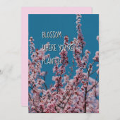 植えられた花 |クリスチャン勇気付けられる (正面/裏面)