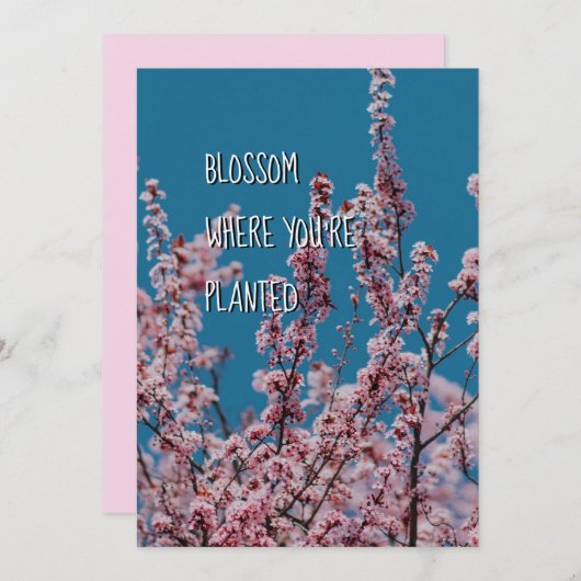 植えられた花 |クリスチャン勇気付けられる (正面/裏面)