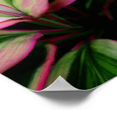 植カラフル物 ポスター (角)