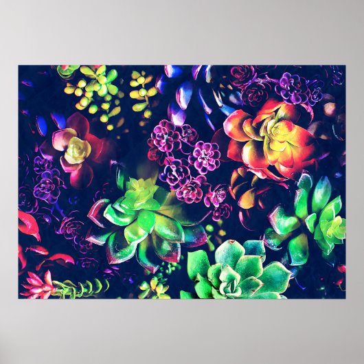 植カラフル物 ポスター (正面)