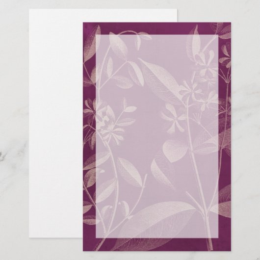 植モダン物学3世 便箋 (正面/裏面)