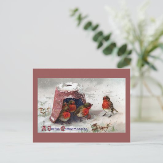 植木鉢のヴィンテージのクリスマスの下の英国のロビン集まり シーズンポストカード (スタンド正面)