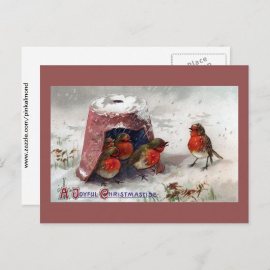 植木鉢のヴィンテージのクリスマスの下の英国のロビン集まり シーズンポストカード (正面/裏面)