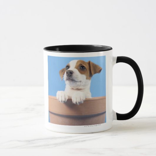 植木鉢の犬 マグカップ (右)