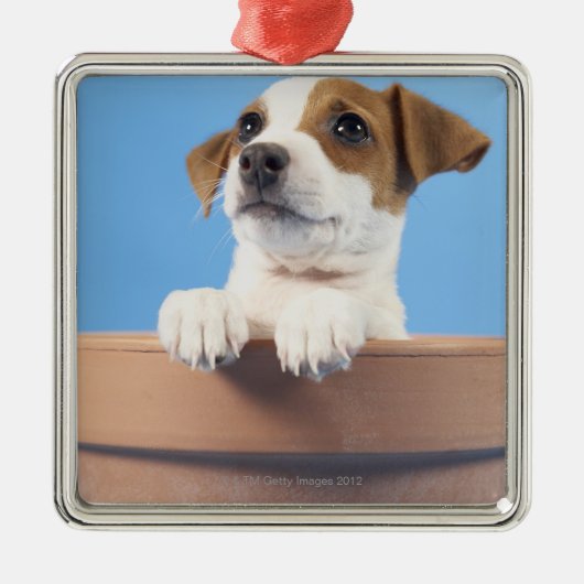植木鉢の犬 メタルオーナメント (正面)