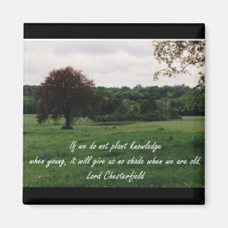 植栽ナレッジ磁石 マグネット