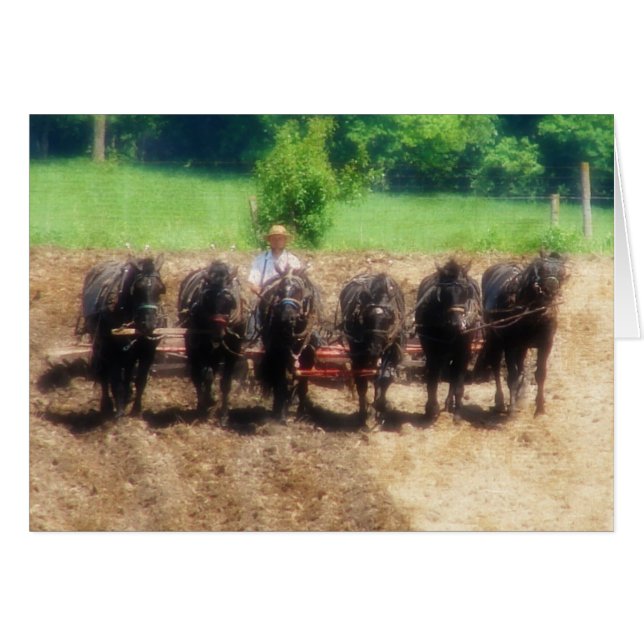 植栽時間 (正面横)