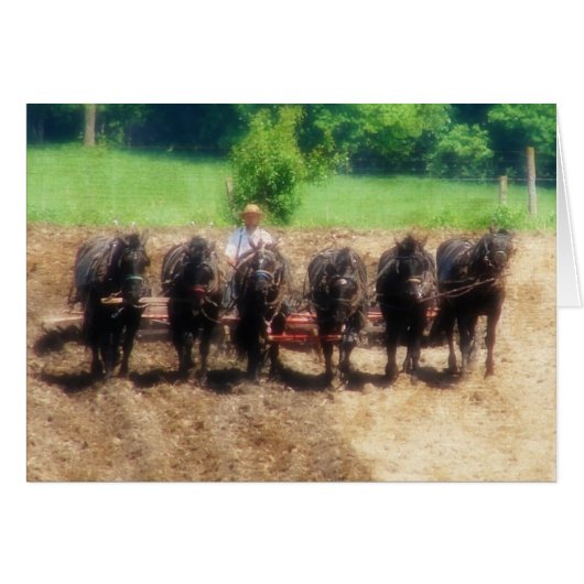 植栽時間 (正面横)