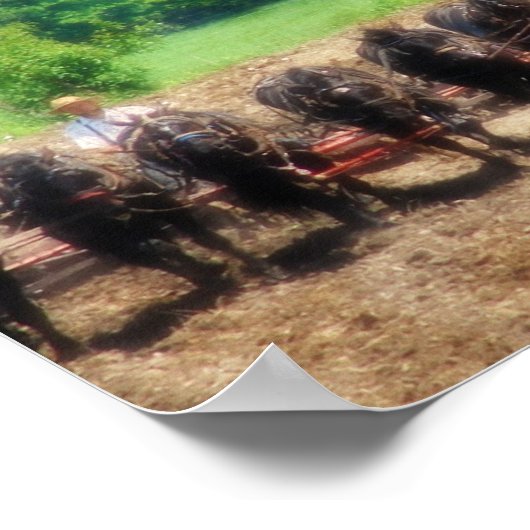 植栽時間 ポスター (角)