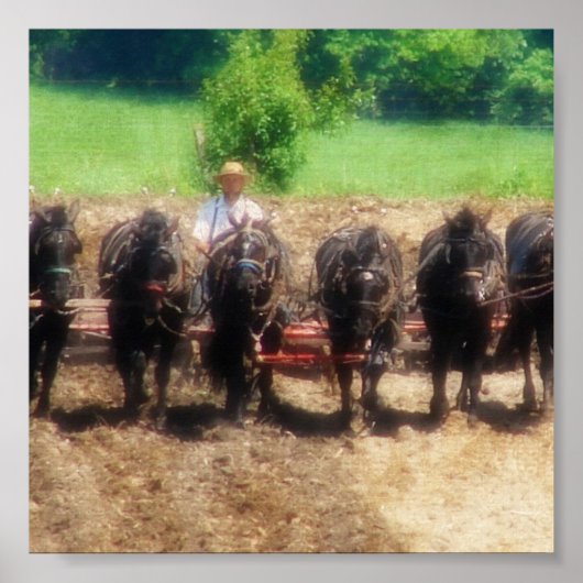 植栽時間 ポスター (正面)