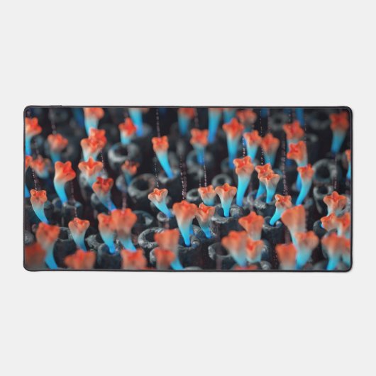 植民地 デスクマット (正面)