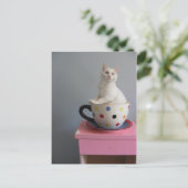 植物かわいらしポットの子猫 ポストカード (スタンド正面)