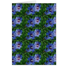 植物に咲く青いハイビスカスの花2つ