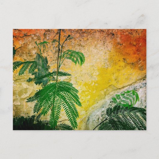 植物のある黄色い壁 ポストカード (正面)