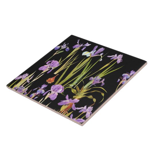 植物のアイリスによっては花のアイリスが開花します タイル (側面)