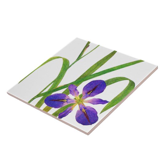 植物のアイリスによってはRedouteの花柄の庭が開花します タイル (側面)