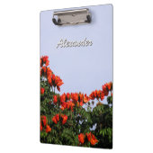 植物のアフリカのチューリップ木文字 クリップボード (左)