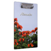 植物のアフリカのチューリップ木文字 クリップボード (右)