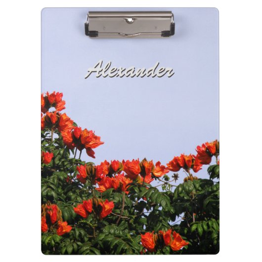 植物のアフリカのチューリップ木文字 クリップボード (正面)