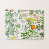 植物のイラストレーション ジグソーパズル (横)