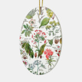 植物のイラストレーション セラミックオーナメント (左)