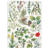 植物のイラストレーション- Larousseの植物 クリップボード (裏面)