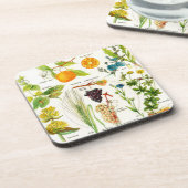 植物のイラストレーション- Larousseの植物 コースター (左側)